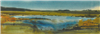 Peter Adamič - Brez naslova