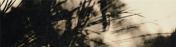 Andrej Lamut / Mnemosis - prodajna razstava