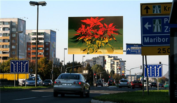 Berko - Nikoli niste daleč od Berkove zvezde - Celovška