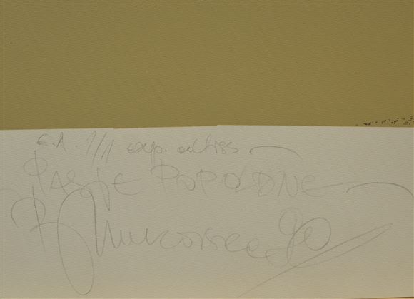Biljana Unkovska - Pasje popoldne