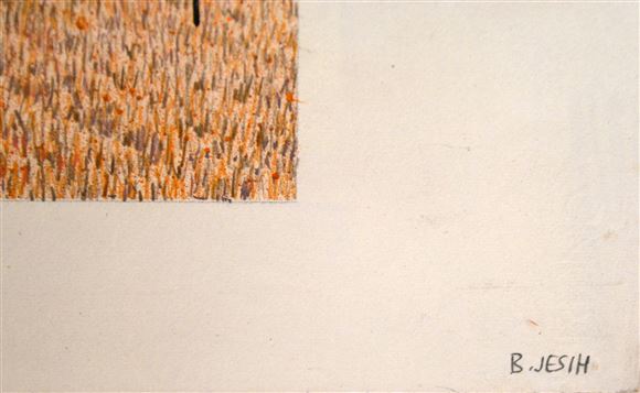 Boris Jesih - Polje