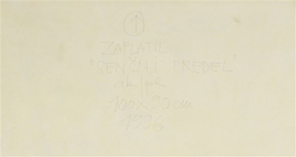 Boris Zaplatil - Senčni predel