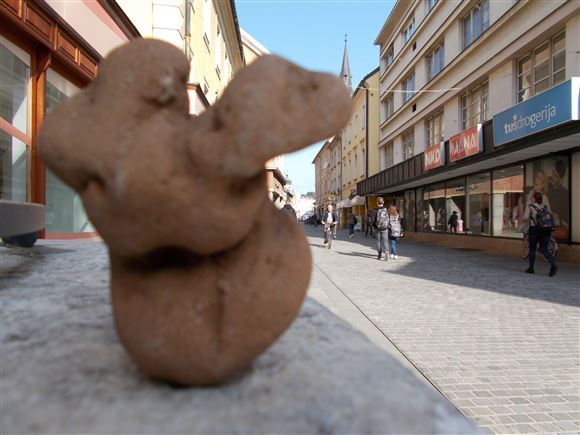 Društvo likovnih umetnikov Celje - 19. Vstop prost: Trans for MA tor