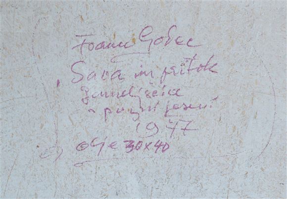 France Godec - Sava in pritok v pozni jeseni