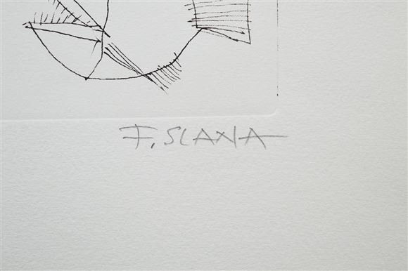 France Slana - Ribe