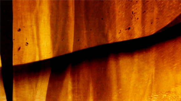 Hotelski dnevnik/Hotel Diary & Zlata zavesa/Golden Curtain