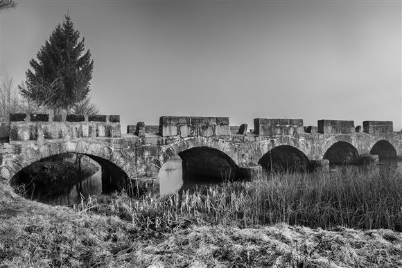 Kozolci in mostovi