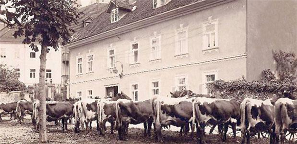 Kranj na starih fotografijah