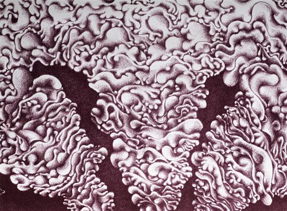 MON: METAMORFOZE