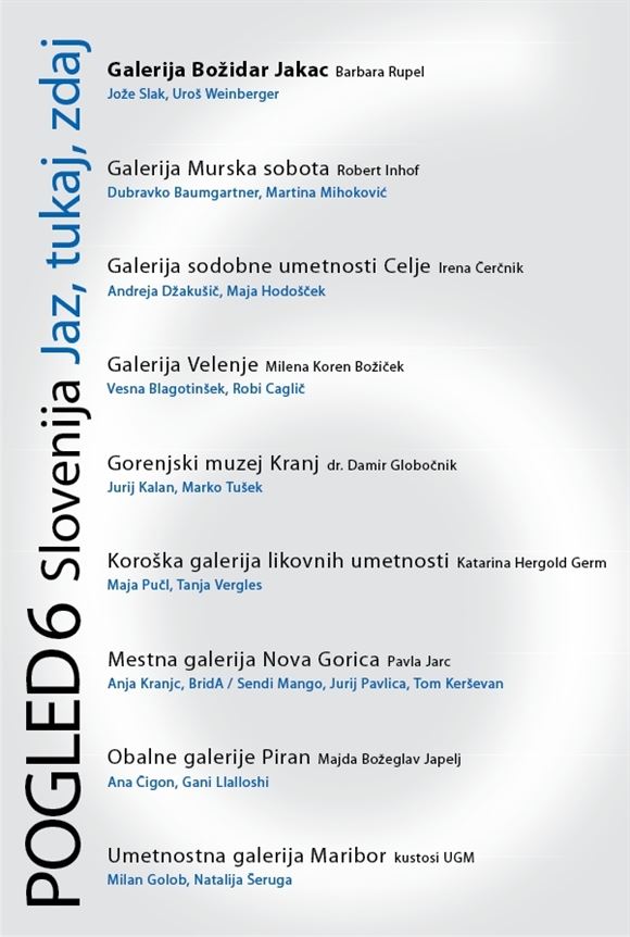 POGLED NA LIKOVNO UMETNOST SLOVENIJE 6: Jaz, tukaj, zdaj