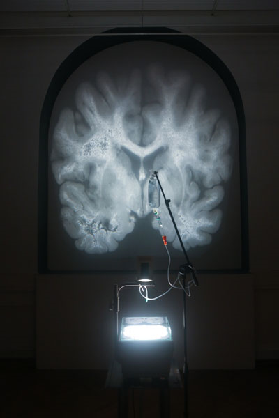 Polona Poklukar in Borut Popenko: AMYGDALA