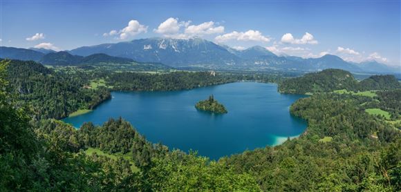Razveljavitev