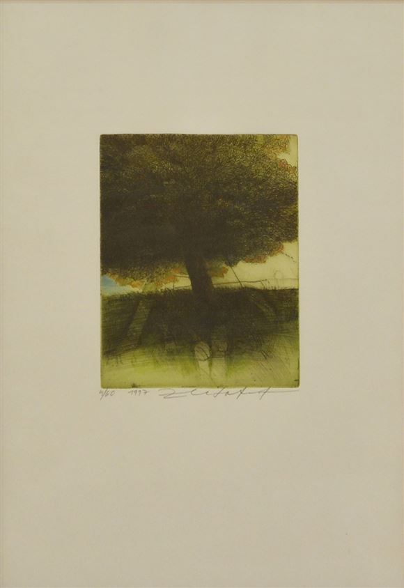 Safet Zec - Brez naslova