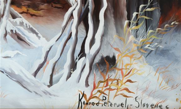 Slovenec Konrad Peternelj - Vas v zimi