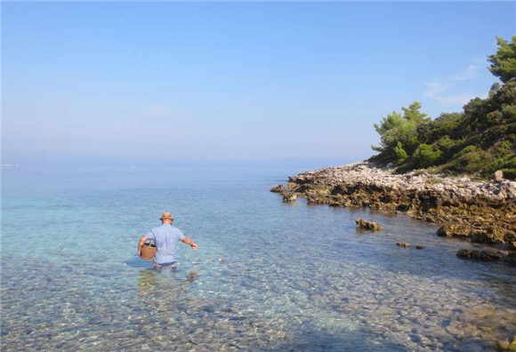 Tomaž Furlan