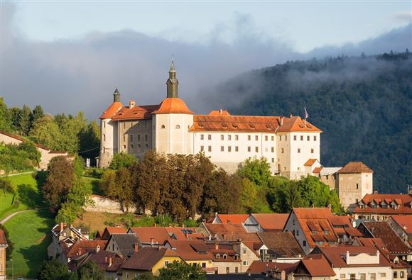Umetnostnozgodovinske zbirke