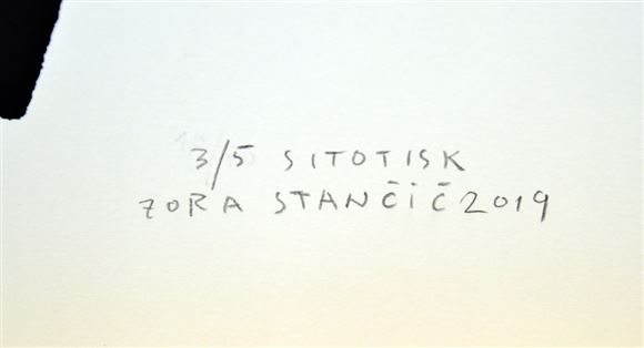 Zora Stančič - Brez naslova