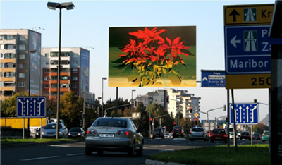 Berko - Nikoli niste daleč od Berkove zvezde - Celovška