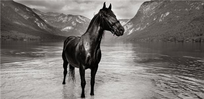 Jezero