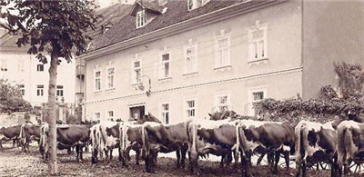 Kranj na starih fotografijah