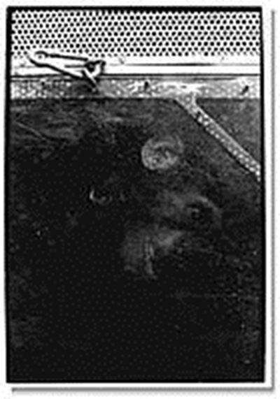 Mlada španska fotografija