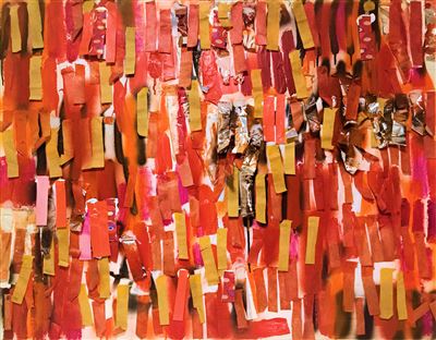 Mladen Stropnik - Red Reli