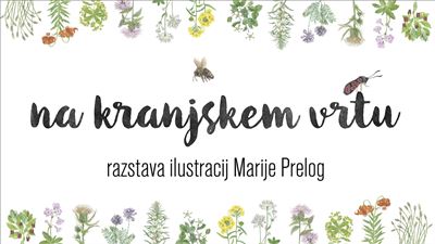 Na kranjskem vrtu