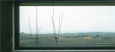 Predstavitev / Ponazoritev