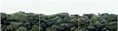 Tamas Dezsö / Hipoteza: vse je listje