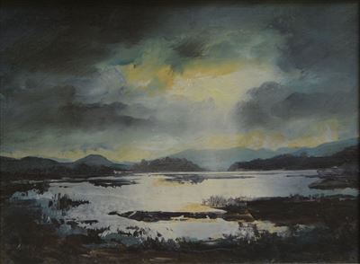 Tomaž Perko - Cerkniško jezero