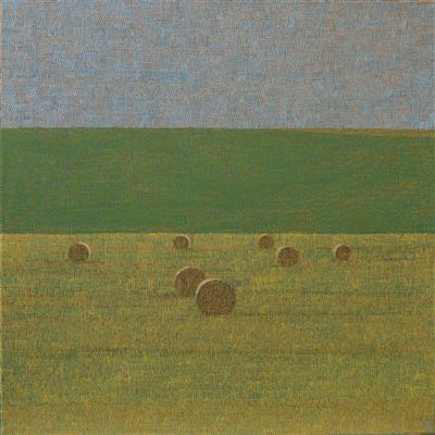 Tomáš Žemla: POLJA – NADALJEVANJE