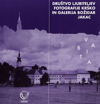 Več avtorjev - Kostanjevica v objektivu