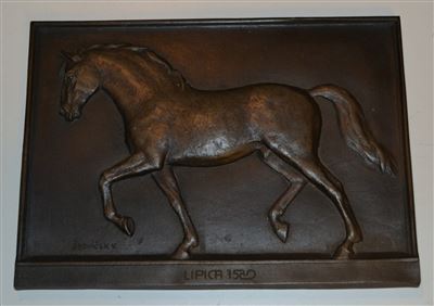 Vladimir Stoviček - Lipicanec
