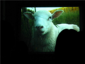 Chris Hales: CAUSE AND EFFECT