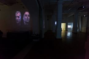 DAN OKI: Generatio Aequivoca