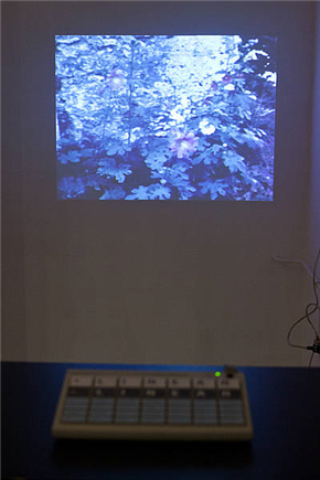 DAN OKI: Generatio Aequivoca