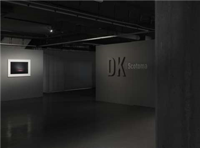 DK: Scotoma