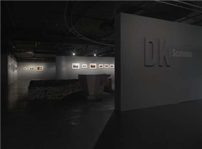 DK: Scotoma