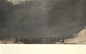 Dora Plestenjak - Brez naslova