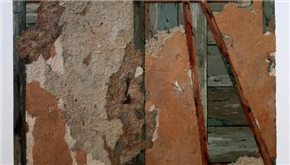 Dubravko Baumgartner. Slike