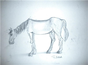 France Slana - Konj