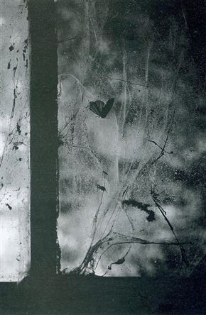 Ivan Leskošek. Fotografije