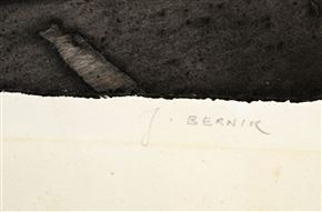 Janez Bernik - XX