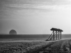 Kozolci in mostovi