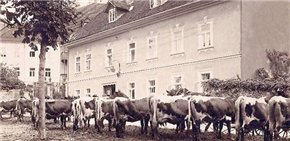 Kranj na starih fotografijah