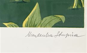 Marlenka Stupica - Palčica