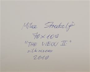 Miha Štrukelj - The view II.