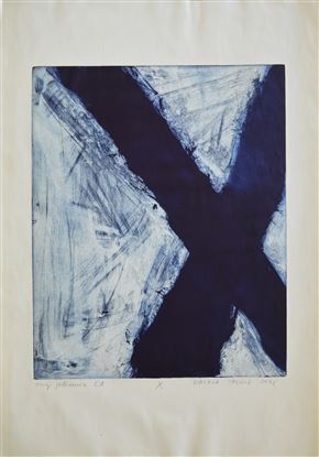 Nataša Tajnik - X