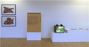 Novi prostori, nove podobe