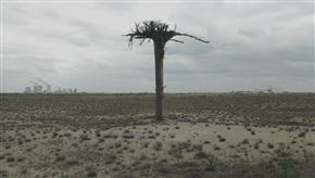 PODOBE POKRAJINE. BILDER EINER LANDSCHAFT. WOBRAZY KRAJINY. WOBRAZE KRAJINY.